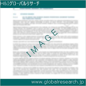 グローバルリサーチ調査レポートのイメージ